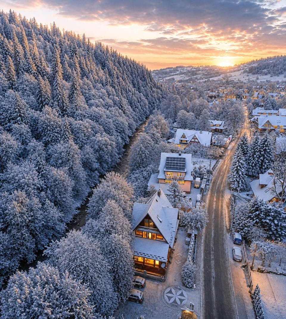 Bird's eye view, Winter