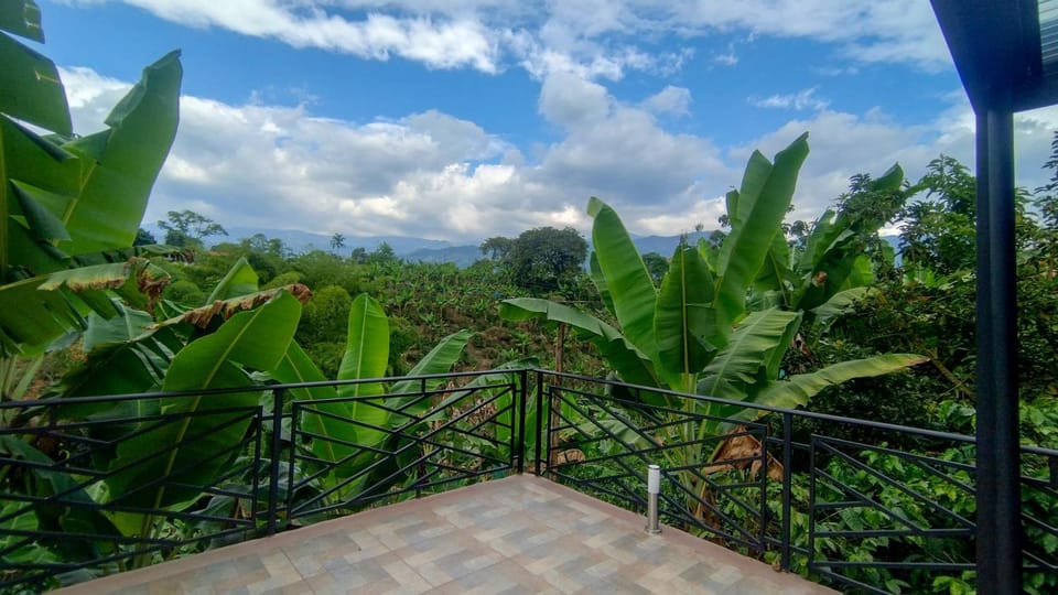 Natural landscape, Balcony/Terrace, Balcony/Terrace