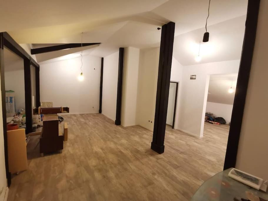 Big house in North with ping-pong table Villa in Romania