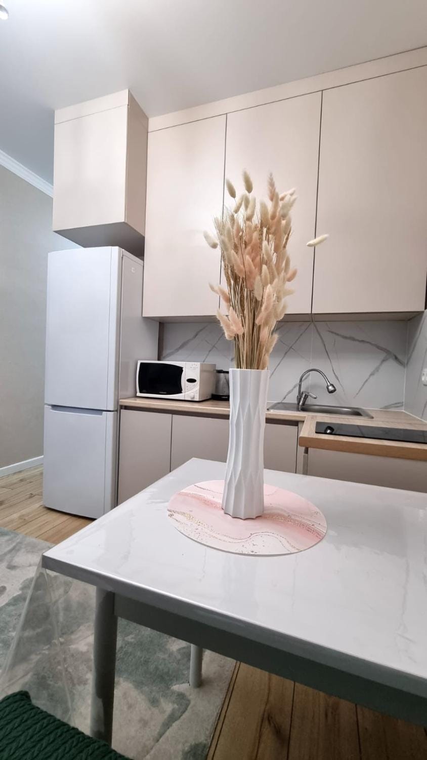 Kitchen or kitchenette, stove