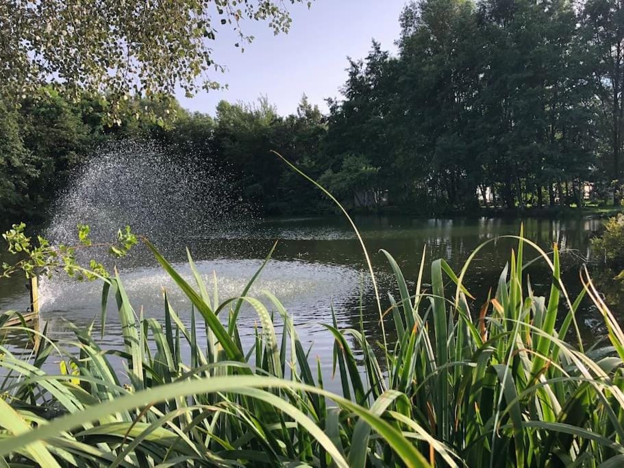 Lake view