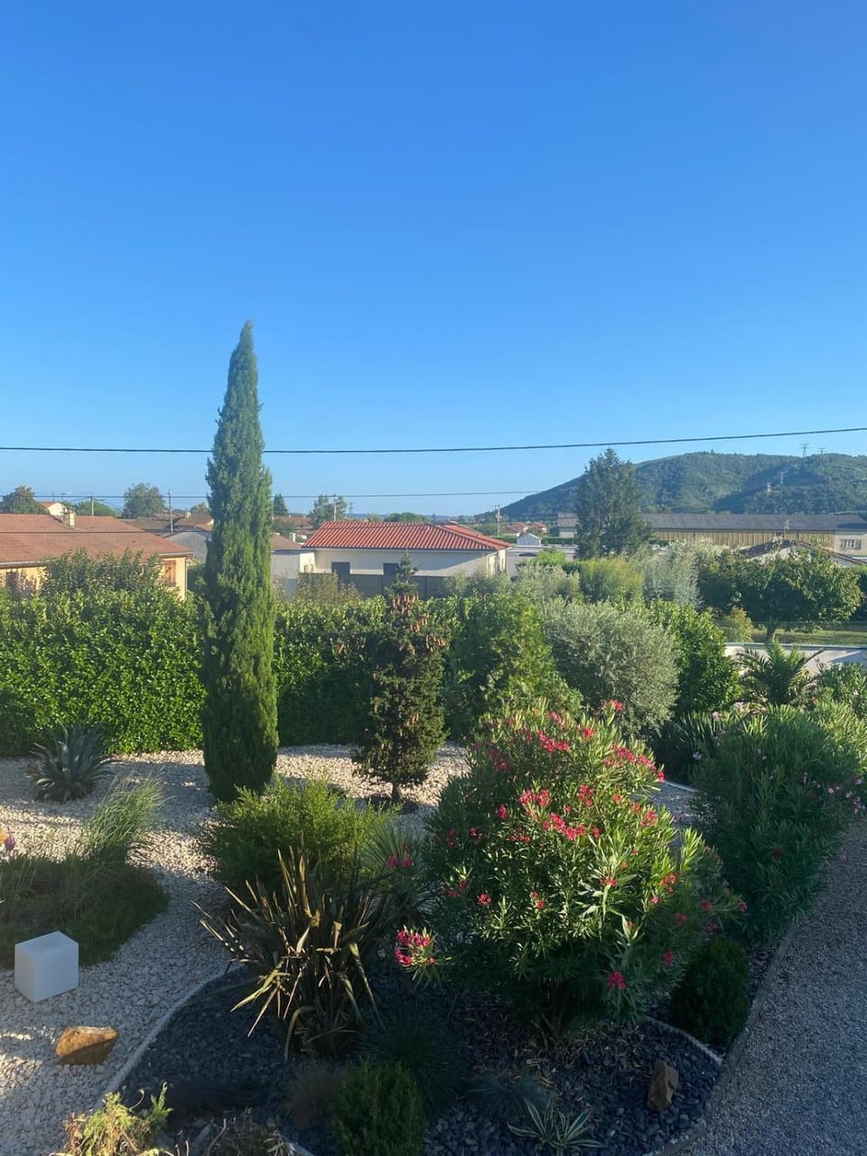 Natural landscape, Garden, Garden view