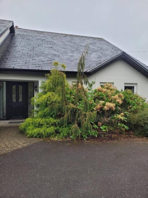 Self catering apartment Apartment in County Kerry