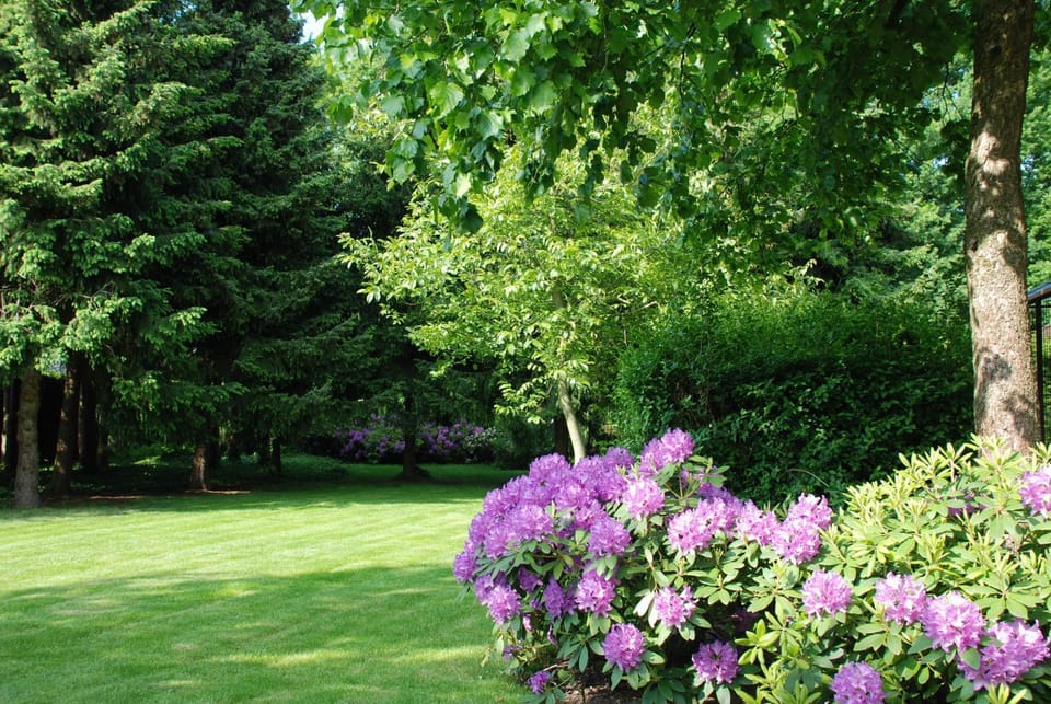 Spring, Garden, Garden view
