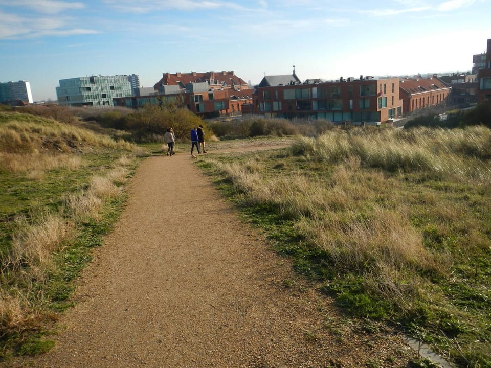 View (from property/room)