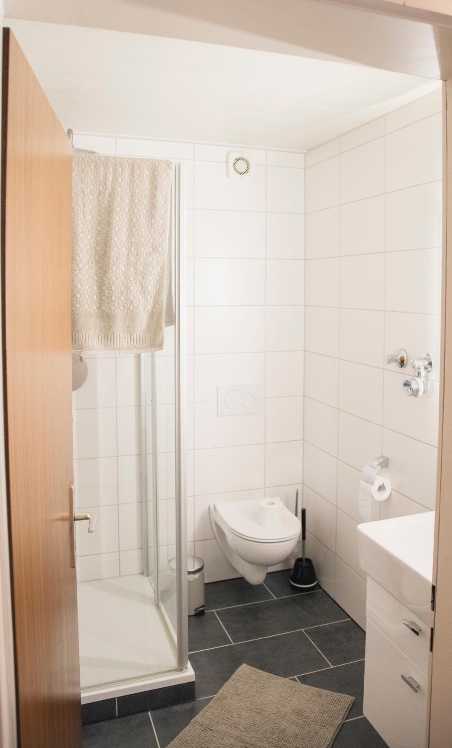 Shower, Toilet, Bathroom, towels
