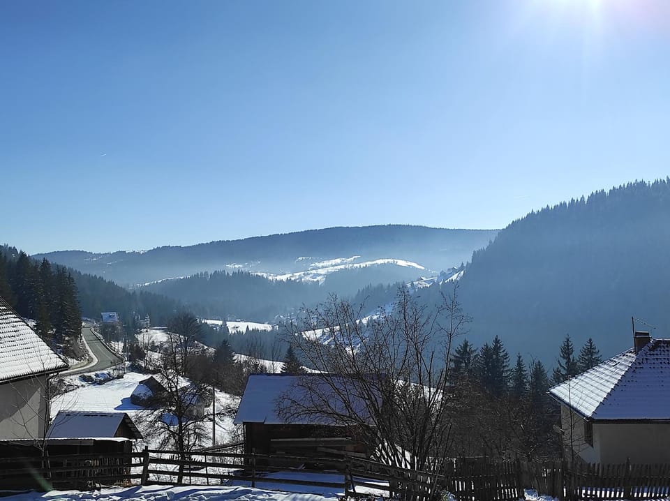 Natural landscape, Winter