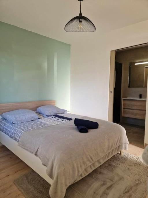 superbe logement privatif à côté de la via Rhona Apartment in Provence
