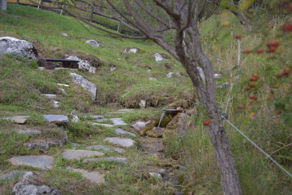 Spring, Natural landscape, Garden