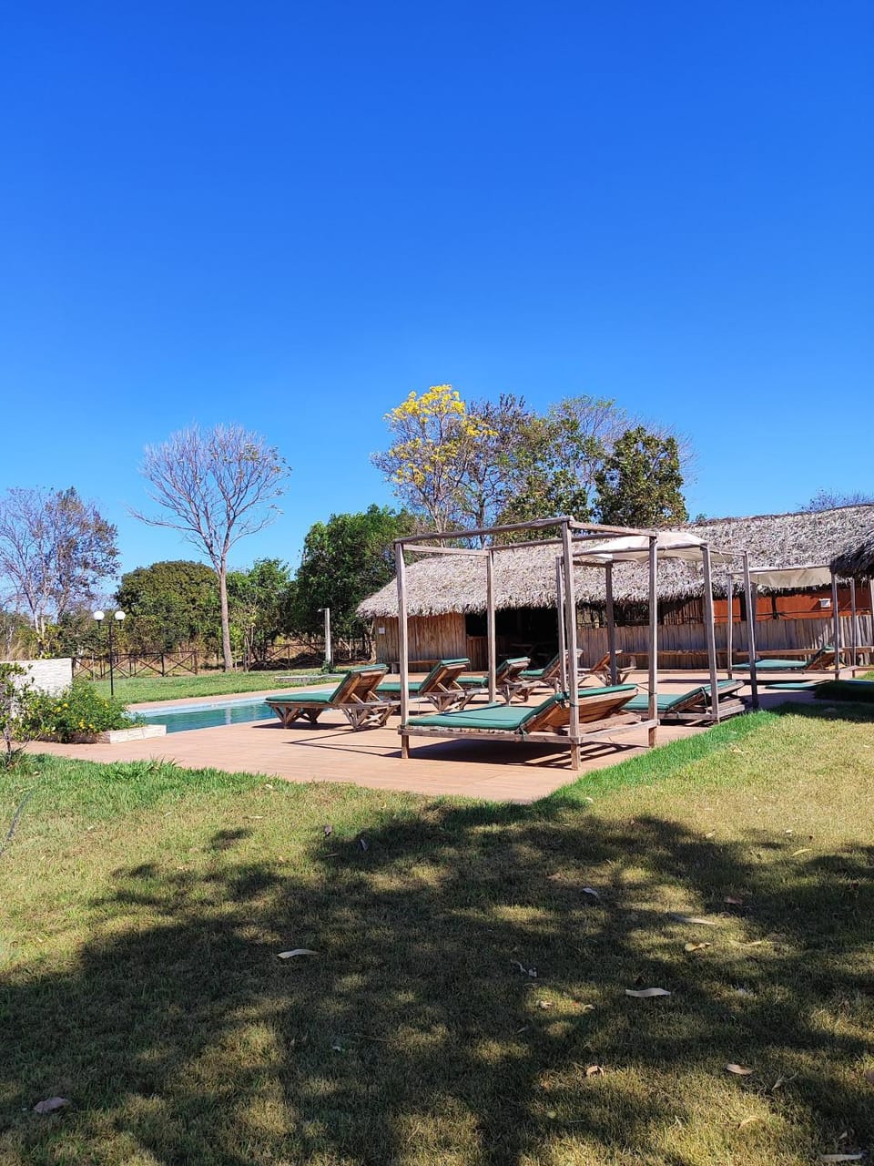 Natural landscape, Garden view, Pool view