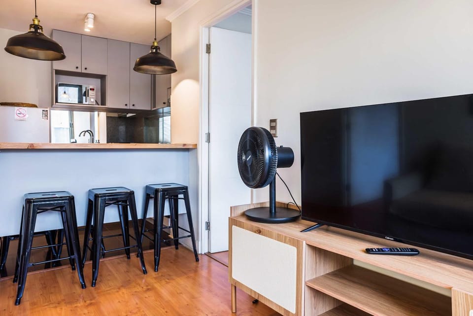 Live Providencia from your cozy home Apartment in Providencia