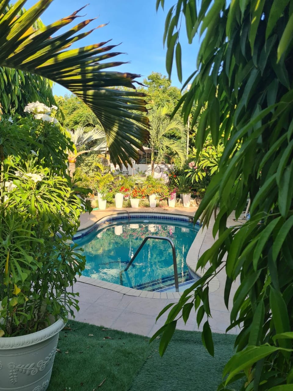 Day, Garden, Garden view, Pool view, Swimming pool, sunbed
