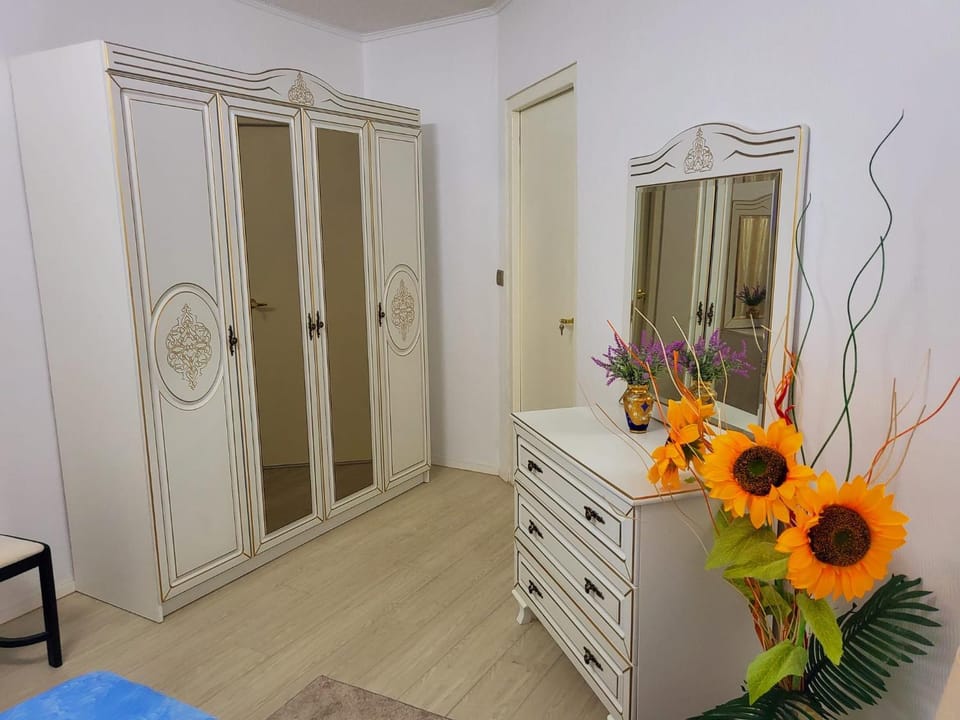wardrobe, air conditioner