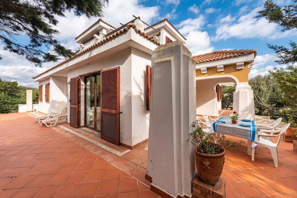 Summer, Garden, Balcony/Terrace, sunbed