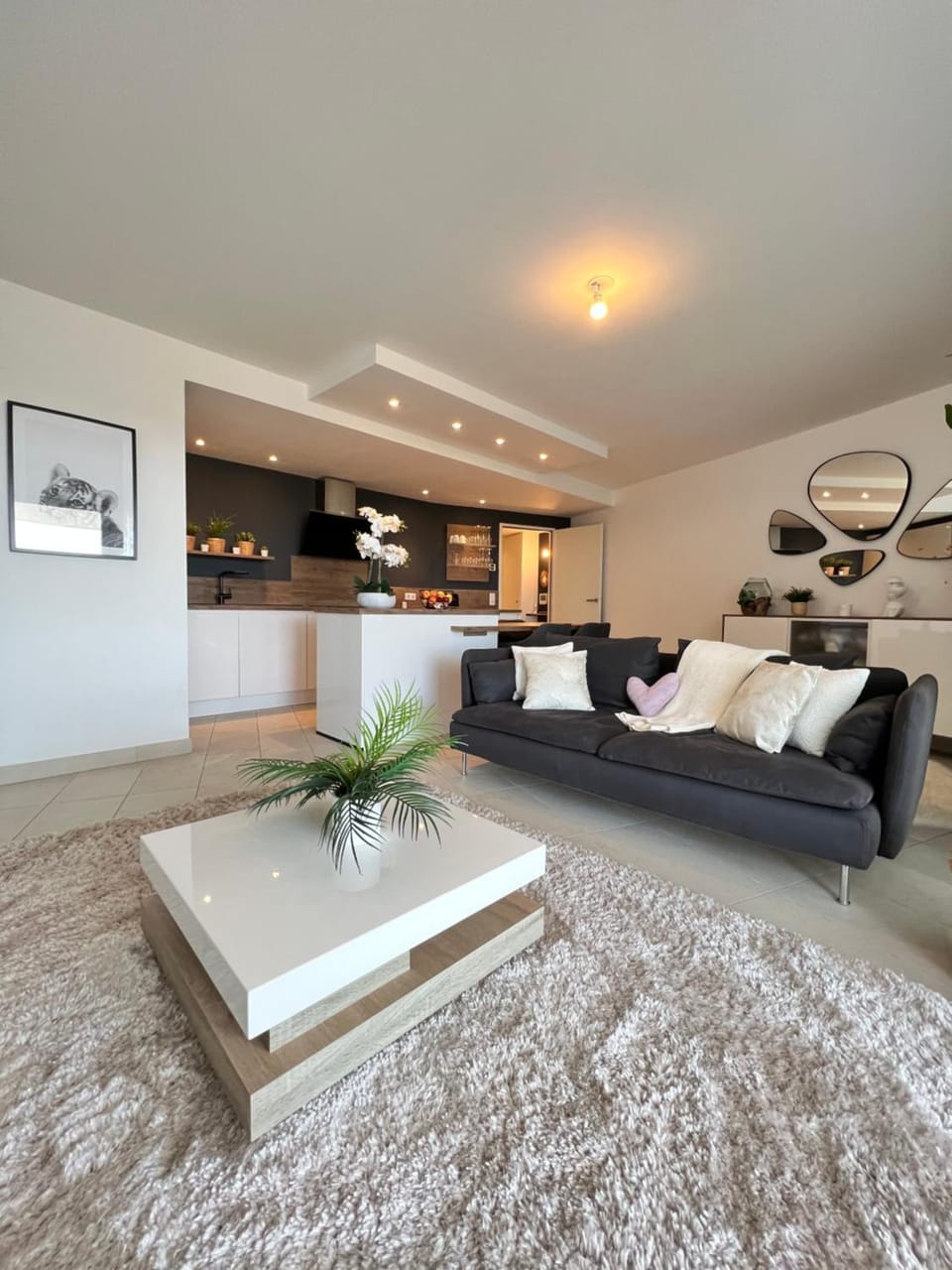 Appartement Montpellier Apartment in Montpellier