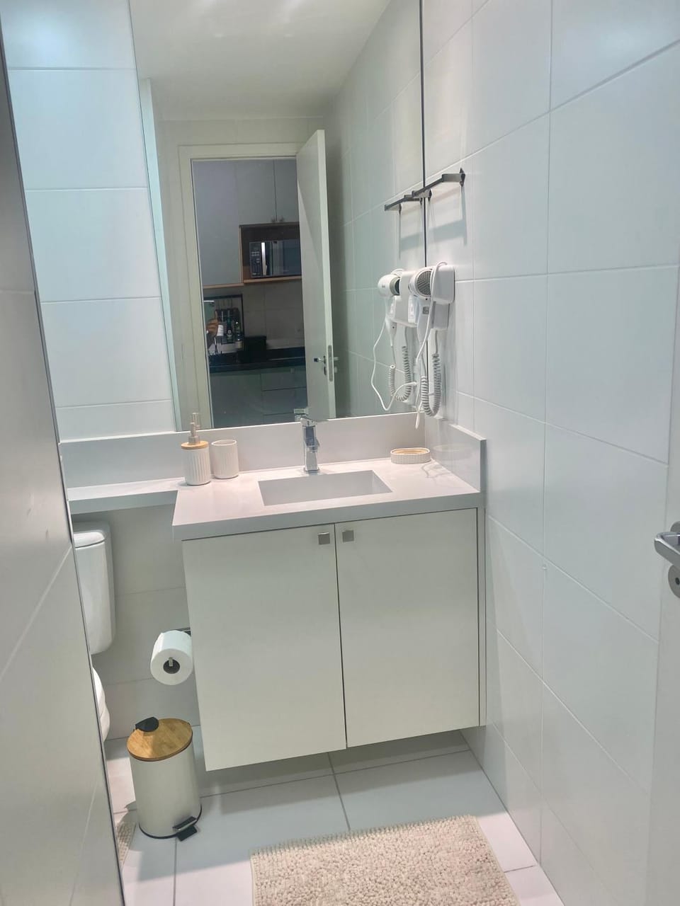Toilet, hair dryier
