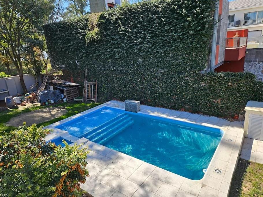 Garden, Pool view, Swimming pool