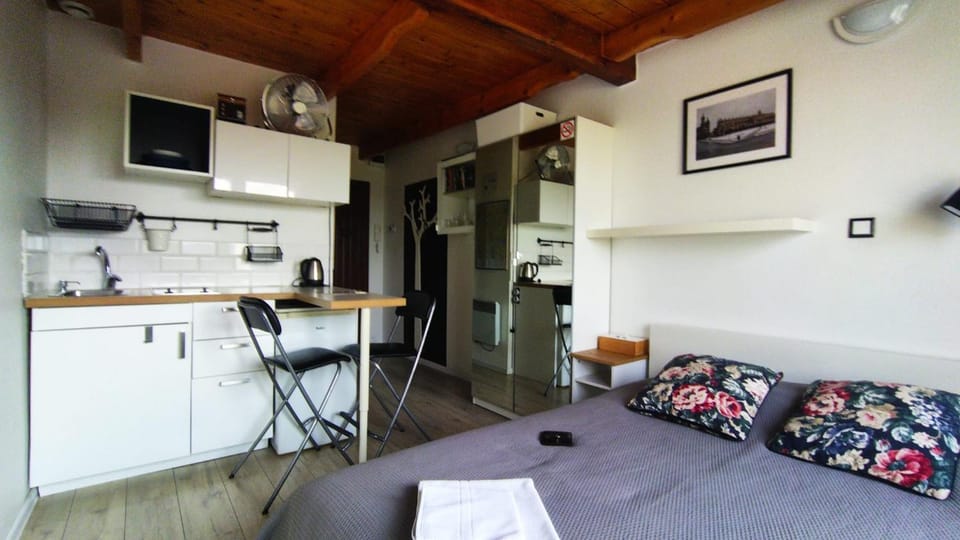 Bed, Kitchen or kitchenette, Photo of the whole room, Dining area, Bedroom