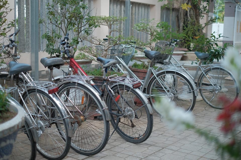 Day, Cycling