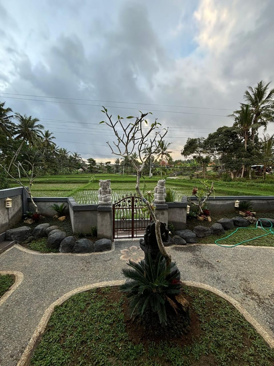 Day, Natural landscape, Garden, Garden view