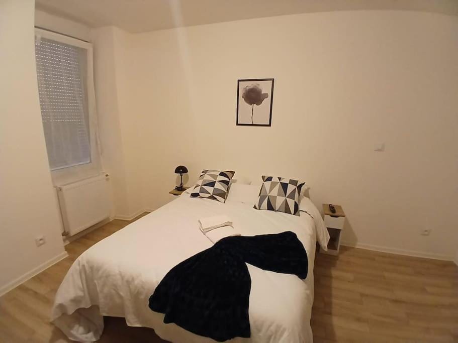 T1 "Orchidée" Centre ville, Stationnement gratuit et proche Tram Apartment in Mulhouse