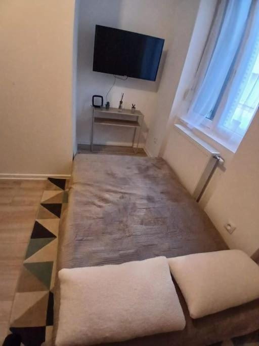 T1 "Orchidée" Centre ville, Stationnement gratuit et proche Tram Apartment in Mulhouse
