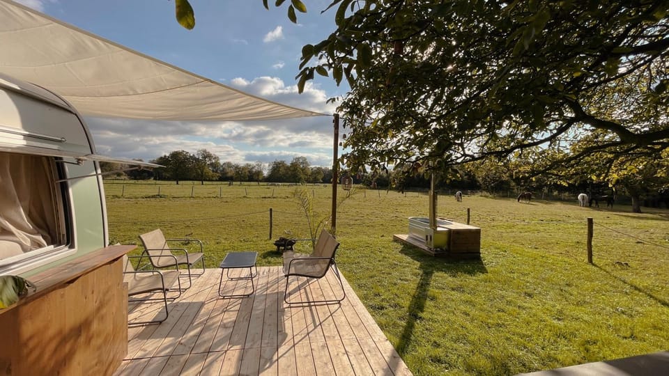 Patio, Spring, Day, Garden, Garden view