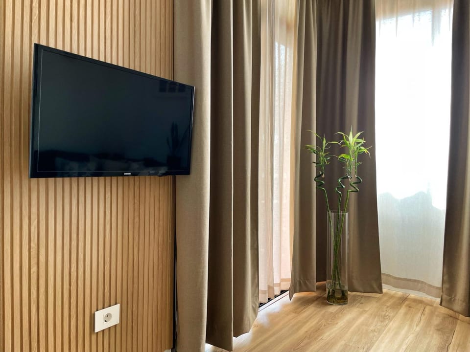 TV and multimedia