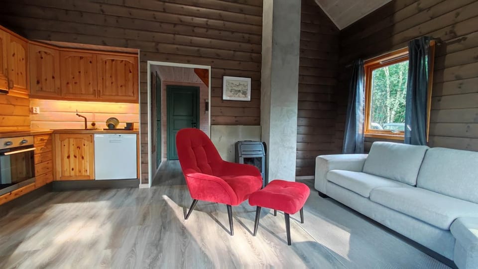 Living room, kitchen