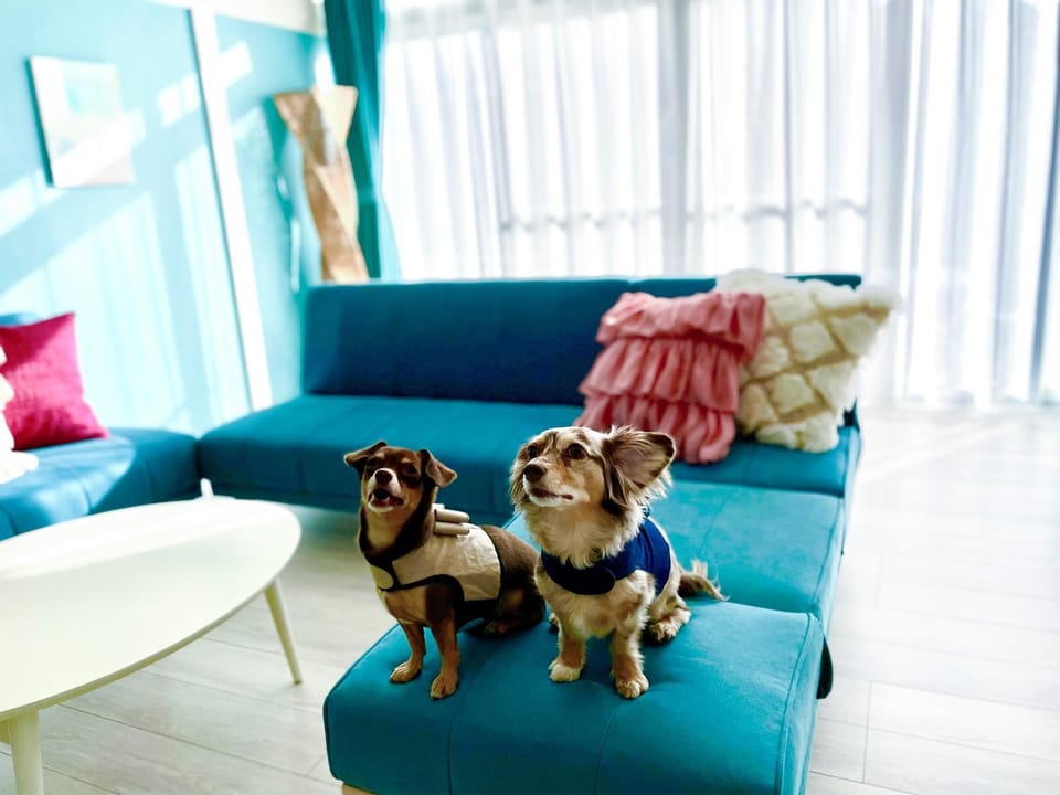 Animals, pet friendly