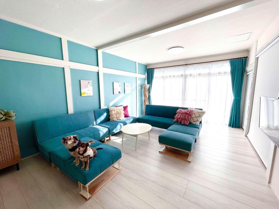 Animals, pet friendly