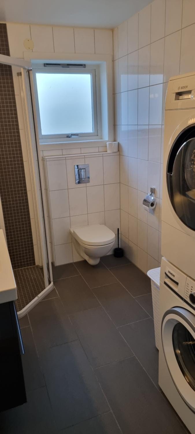 Toilet, Bathroom, washing machine, dryer
