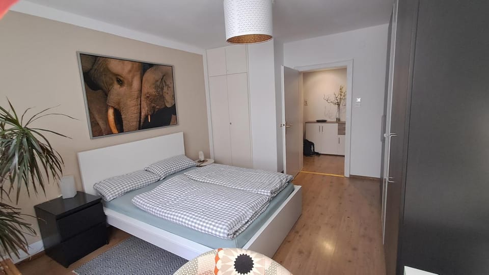 Wohnung Medicus, 3 ZKB, Balkon, Garten, nähe Stadtpark, ruhig Apartment in Kaiserslautern
