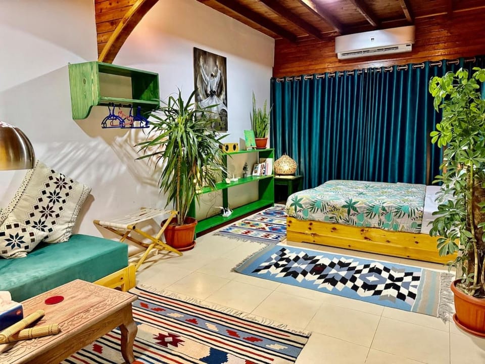 Beach front studio with huge roof top terrace Apartment in South Sinai Governorate