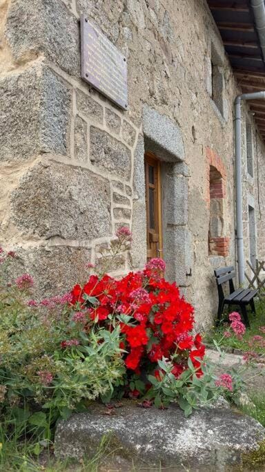 gîte Walden 4-6 personnes House in Auvergne-Rhône-Alpes