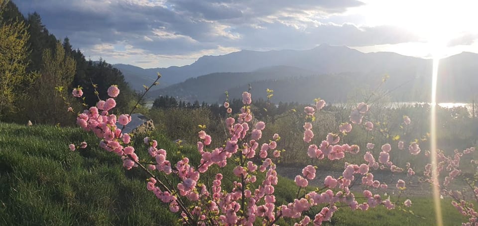 Spring, Lake view, Mountain view