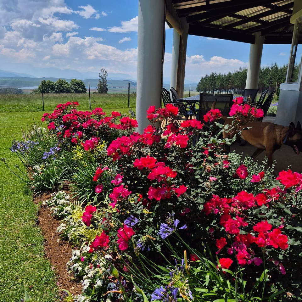 Dragons Landing Guest House Country House in KwaZulu-Natal