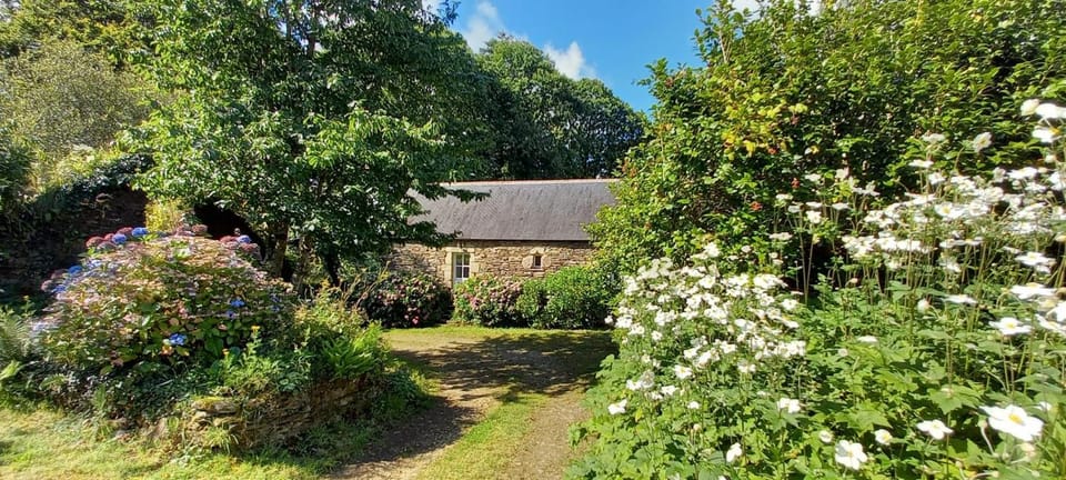 Property building, Garden, Garden view
