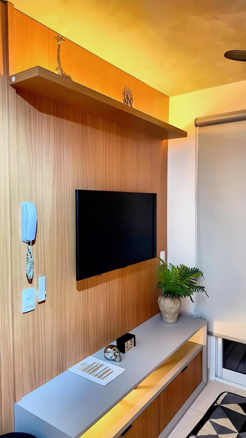 TV and multimedia