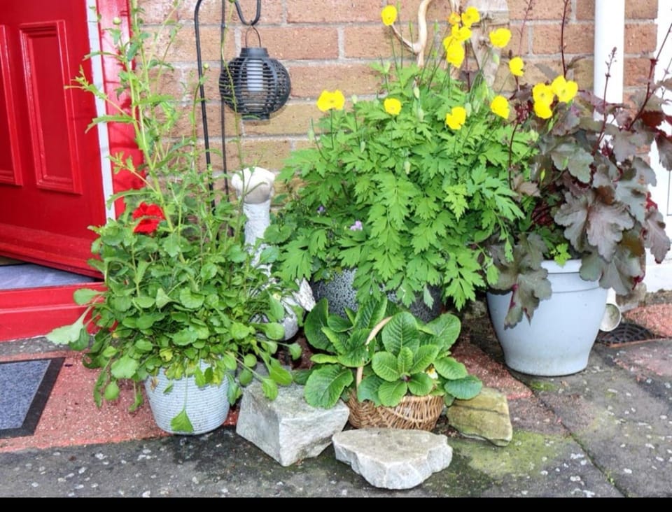 HotTub-Nature-FamilyFriendly-WiFi-Parking House in County Donegal