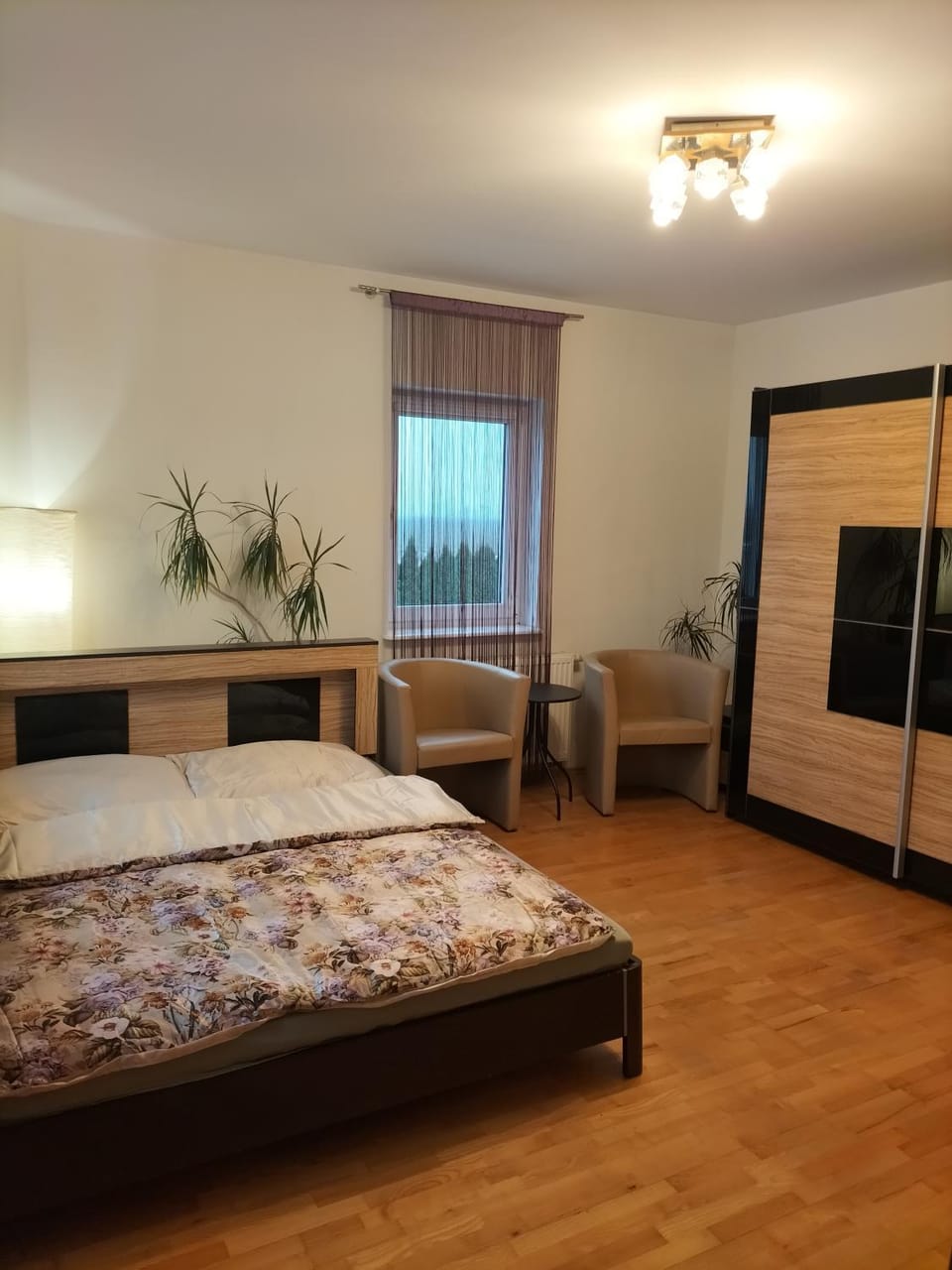 Photo of the whole room