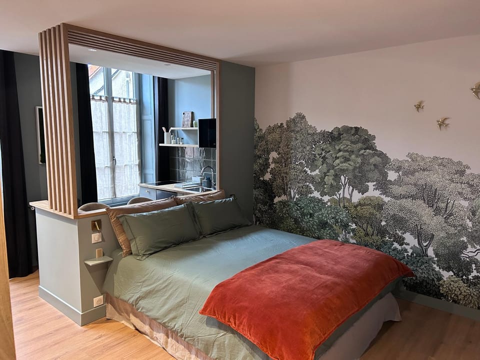 Hôtel Particulier Nontron - chambre d'hôtes et meublés de tourisme Apartment in Nouvelle-Aquitaine