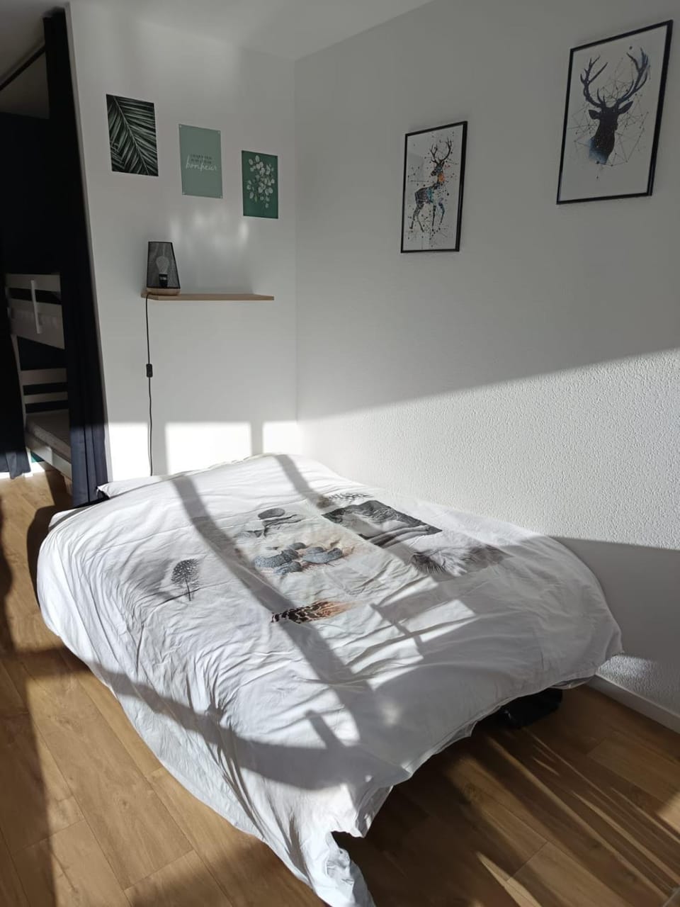 Bed
