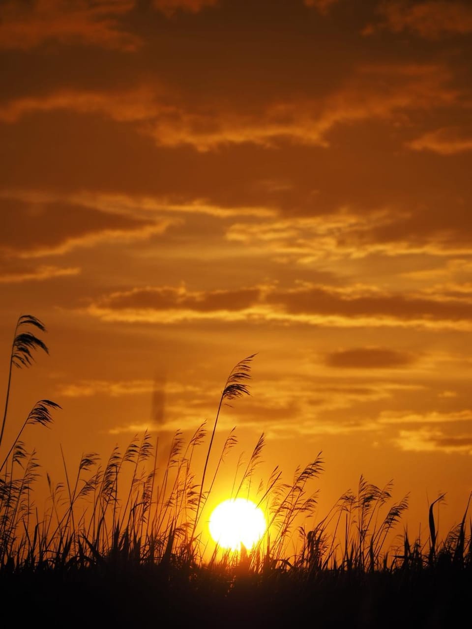 Natural landscape, Sunset