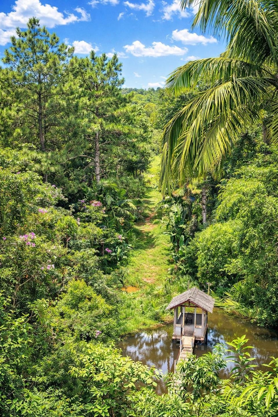 Sitio portal das águas Country House in Itanhaém