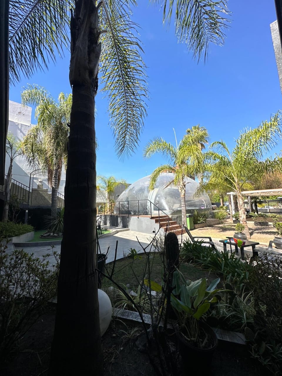 Winter, Garden, Swimming pool