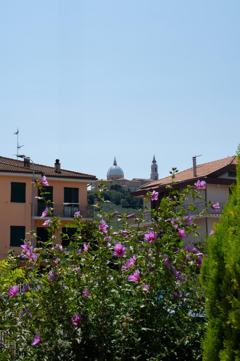 Garden, Garden view