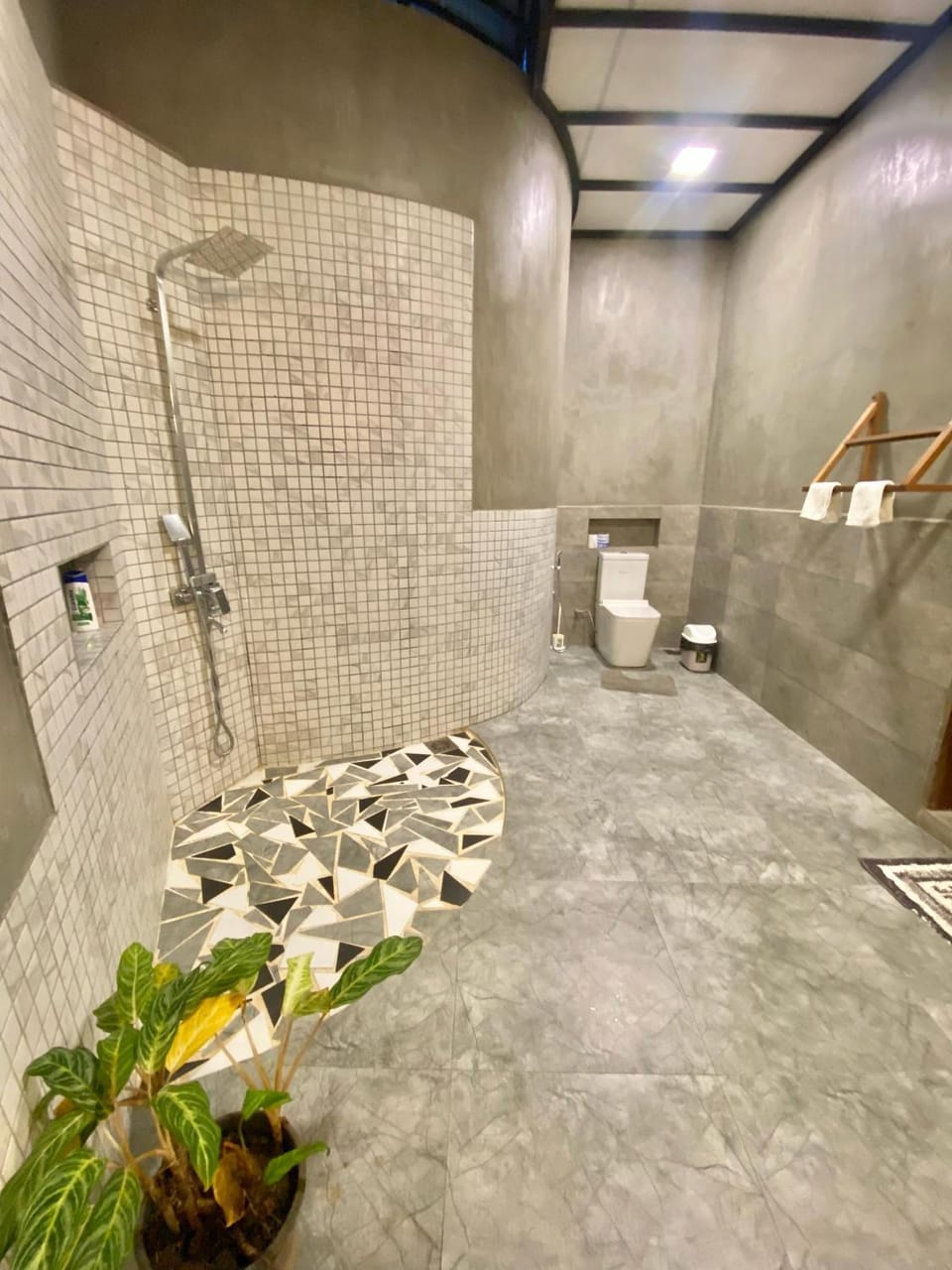 Shower, Toilet, Bathroom