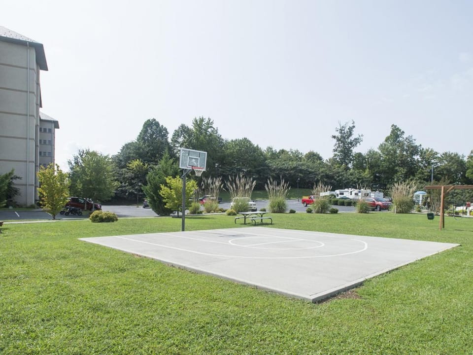 Day, Natural landscape, Garden, Entertainment