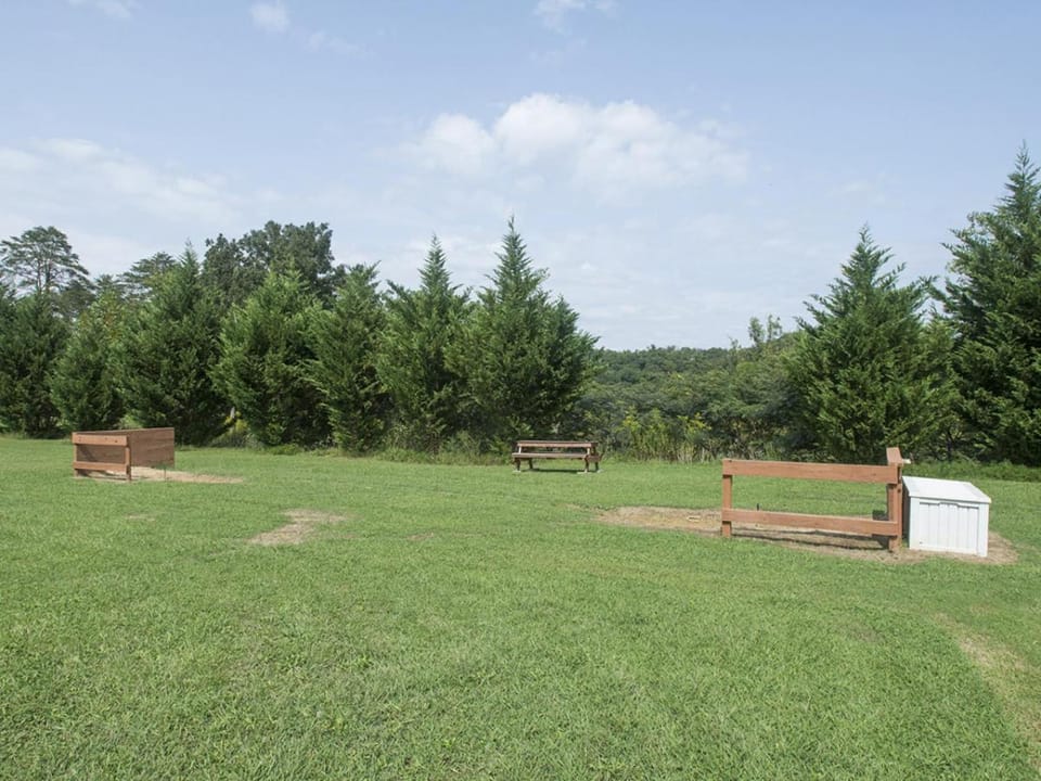 Day, Natural landscape, Garden